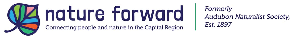 Nature Forward logo